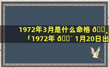 1972年3月是什么命格 🕸 「1972年 🐴 1月20日出生是什么命」